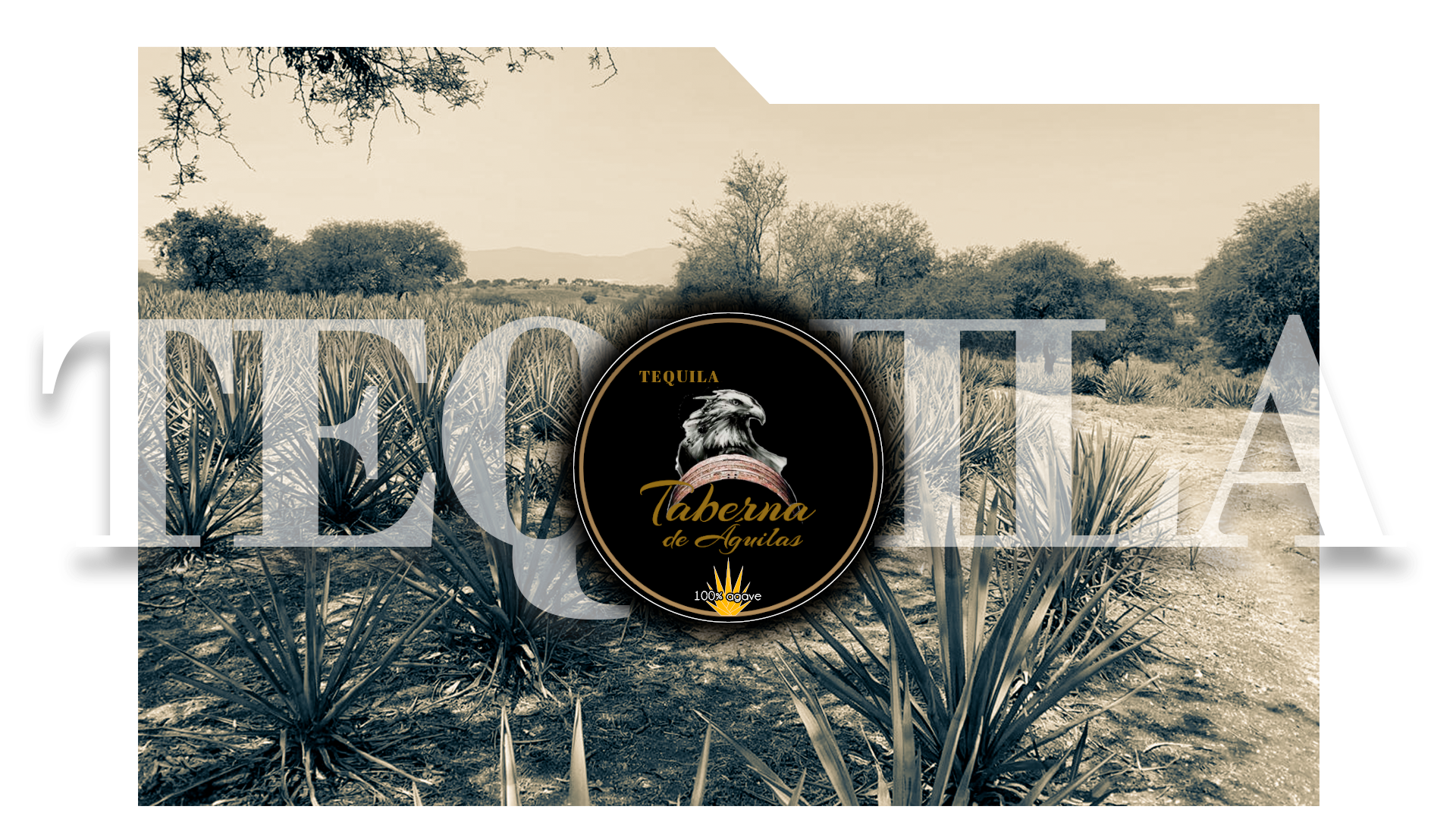 Tequila taberna de aguilas tequila 100% agave
