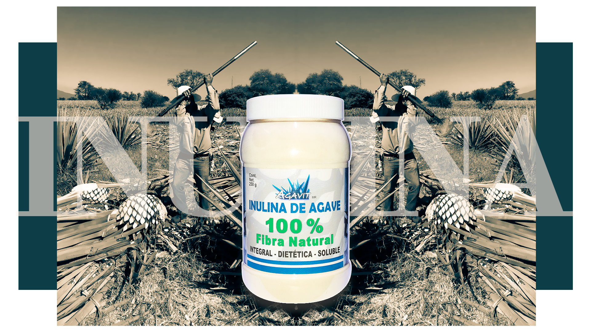 Inulina de agave, 100% natural