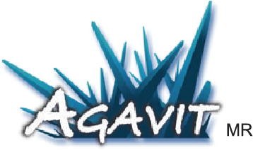 Agavit